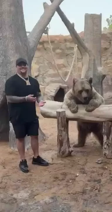 This bear was hungryyy 