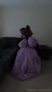 Who s collar is this i wonder well they re not going to be needing it