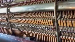 Good morning everyone there s something magical about starting the day