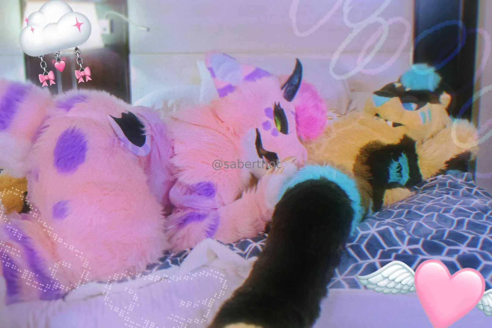 Dragon cats sabers oh murr be sure to give the cute kitty a follow part 1 