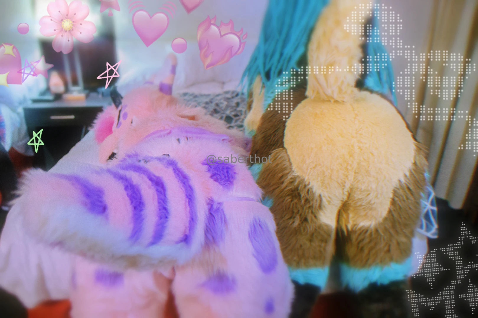 Dragon cats sabers oh murr be sure to give the cute kitty a follow part 2 