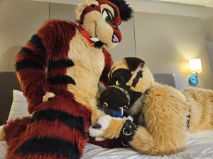 I show this dog how cats are superior 20 image lewd photo pack 2 short