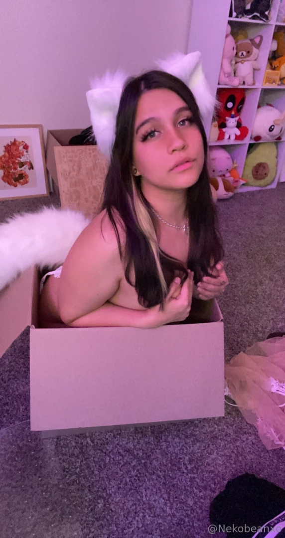 Nekobeanbb part 404828 