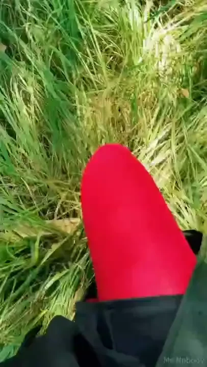 Come with me into the trees we ll lay on the grass and let the hours part 1 