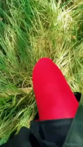 Come with me into the trees we ll lay on the grass and let the hours part 1