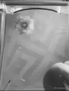 Neverland000 part 59