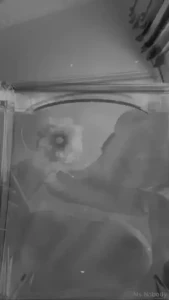 Old but still good part 3