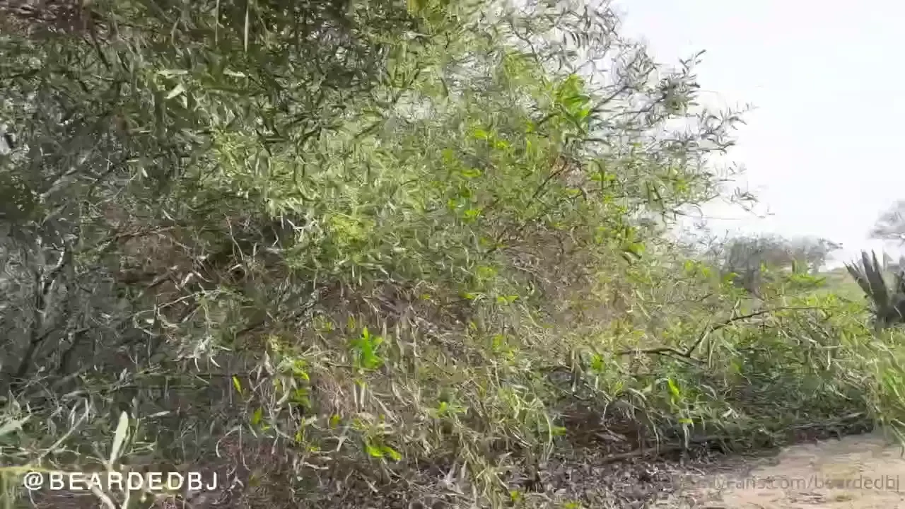 This is the video for the experience i shared with you all on the 25th 