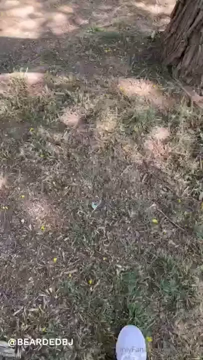 This area is very off the beaten path so if someone is here they are 