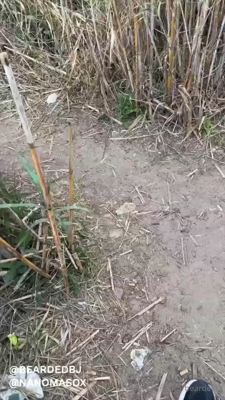 Amazing hot video of when i caught nanomasox in the hidden forest not 