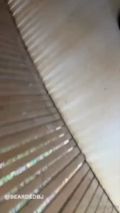 Outside the city by the beach heard about this spot at the back of a