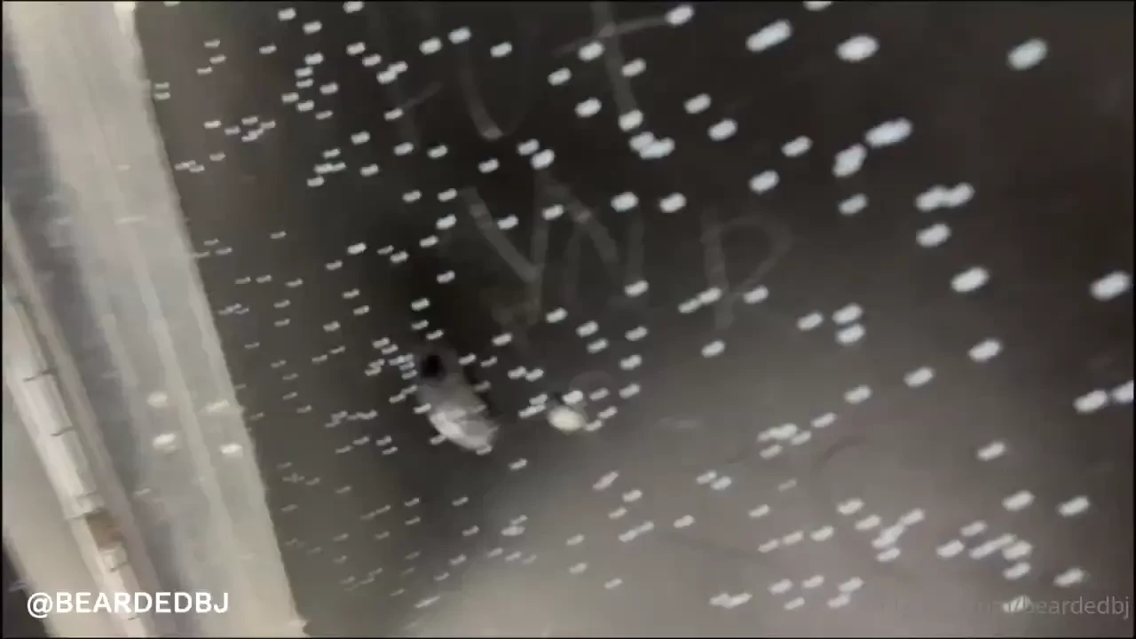 Part one i spent some time in the us as you saw and i had the 