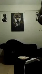 Stream started at 07 10 2024 05 52 am