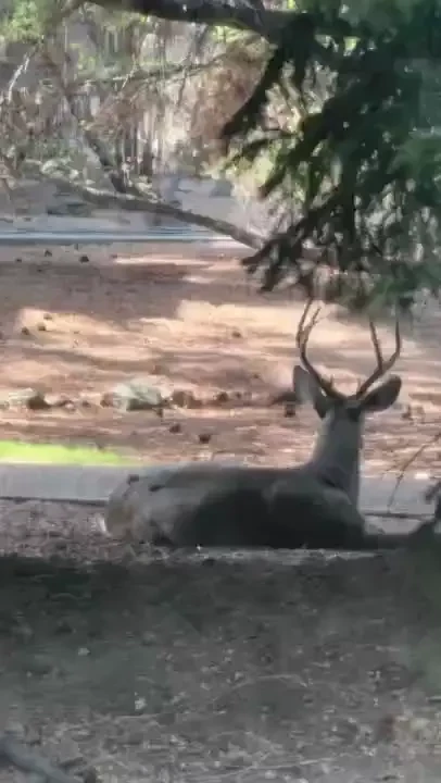 Un peu de vie ces derniers temps a little bit of life lately 