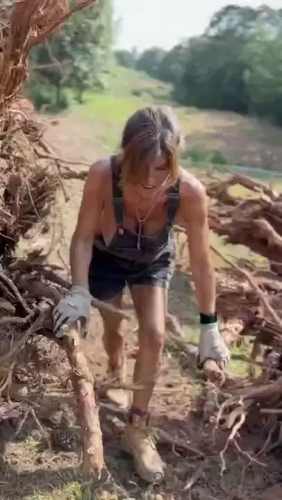 Working my way through the big roots as seen on social media 