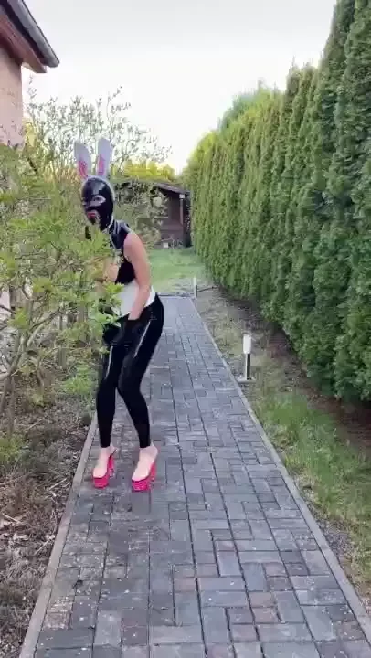 A rather shy but very naughty little bunny came for her salad with an 