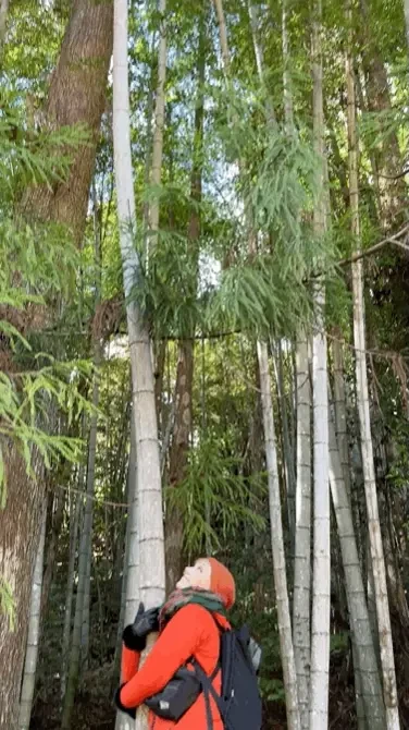 Today i m daydreaming about my trip to japan last year i m so grateful 