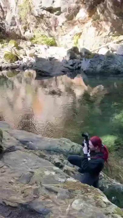 Good morning lovely humans i went to the river recently with my 