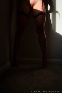 Miskyscanvas part 36