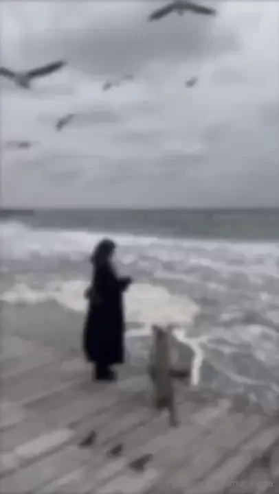 Prima-bella 