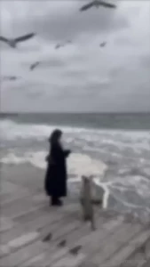 Prima-bella