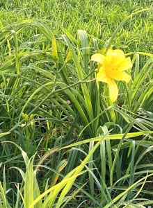 Good day to be outside part 2