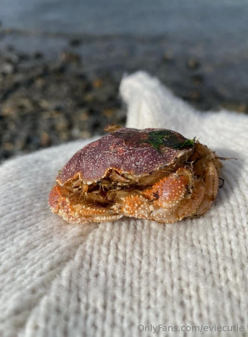 Look what i found today hes so precious 