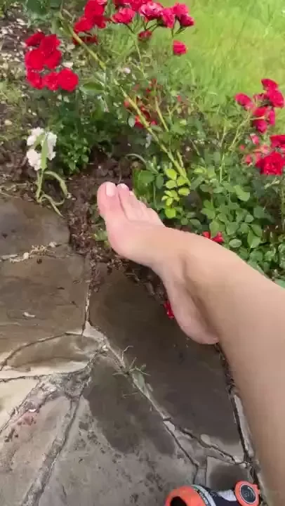 Roses and a beautiful feet 