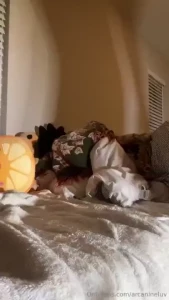Explosion vibes