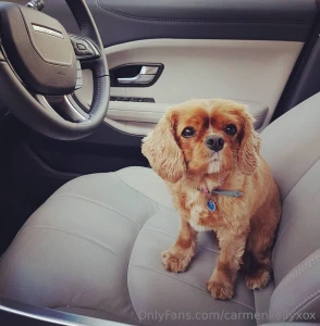 Rip to my best furry friend xx