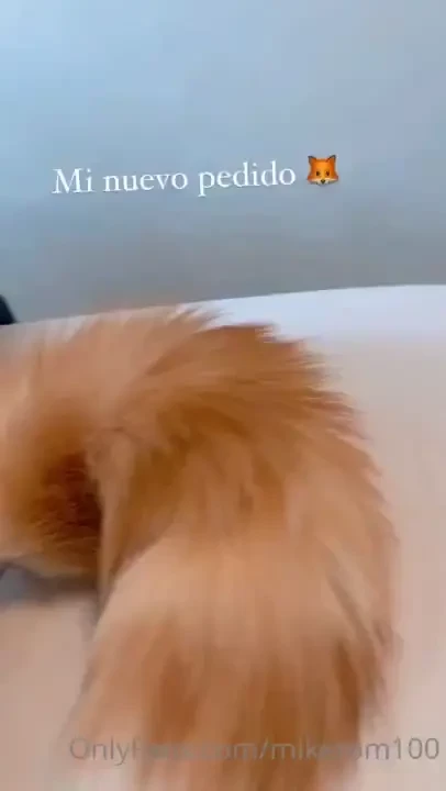 Obvio subir las fotos y videos 