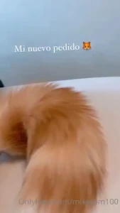 Obvio subir las fotos y videos