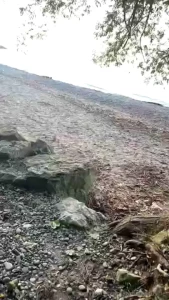 Damian-truelove part 3