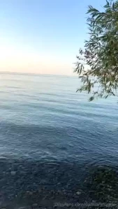 Damian-truelove part 20