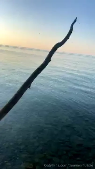 Damian-truelove part 29 