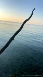 Damian-truelove part 29