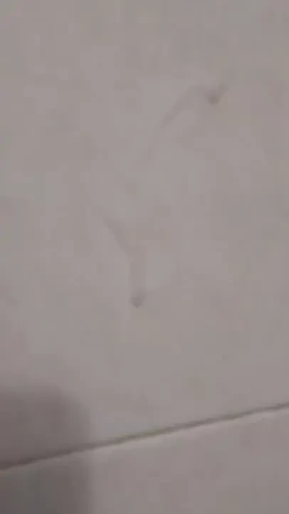 I cum shot upward like a geyser and skimmed the wall 