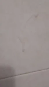 I cum shot upward like a geyser and skimmed the wall