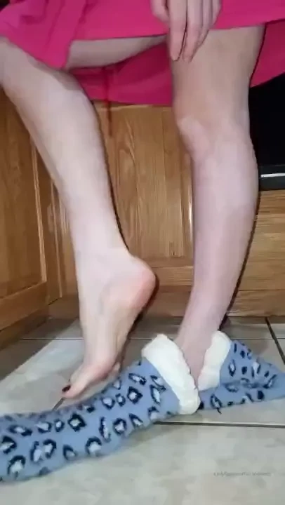 Your point of view crawling on my kitchen floor begging for a taste 