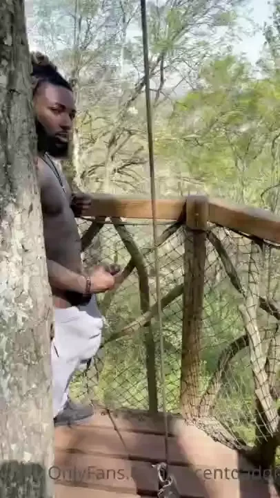 Dick x trees 