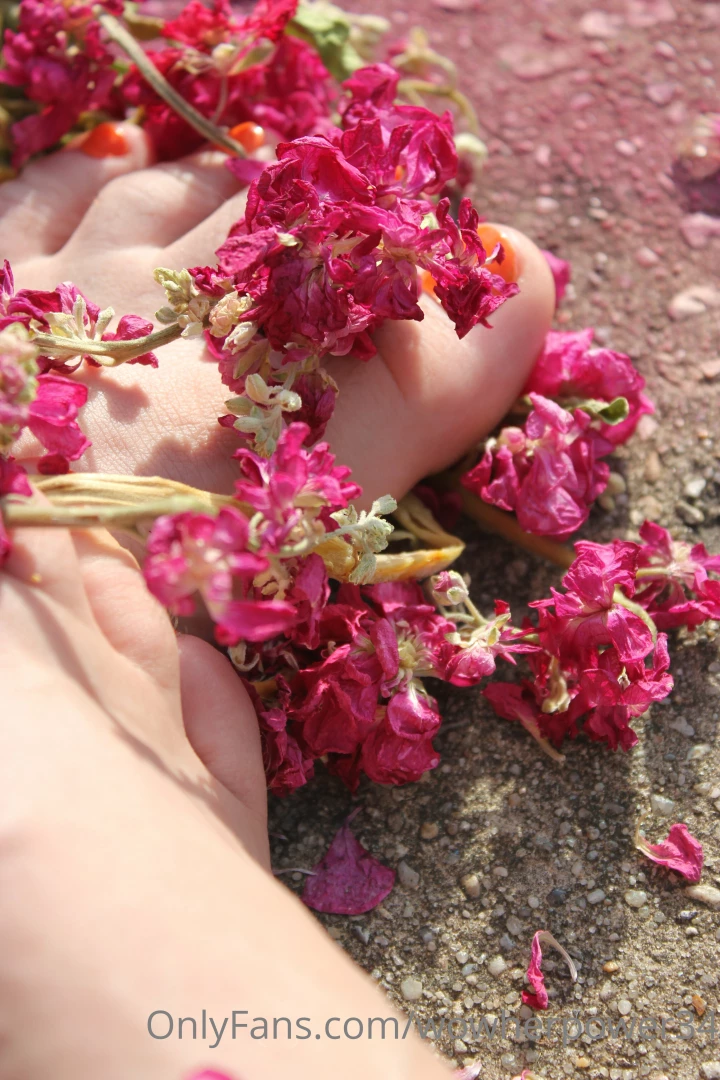 Here s one from my discarded pile of pics if you want the best images 