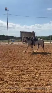 Happy valentine s day daddy swipe to see more time to get naughty w part 1