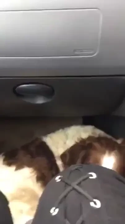 I m live on fanscope boobs out on m180 