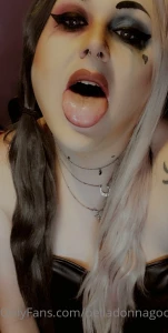 What do u think of harley