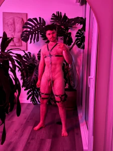 Who wants to go for a walk part 4