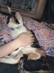 My sweet baby girl passed away today please excuse me as i try to pick