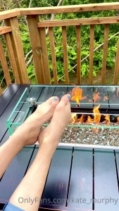 kate-murphy - Video of me warming my feet in the sun and by the fire i love being 