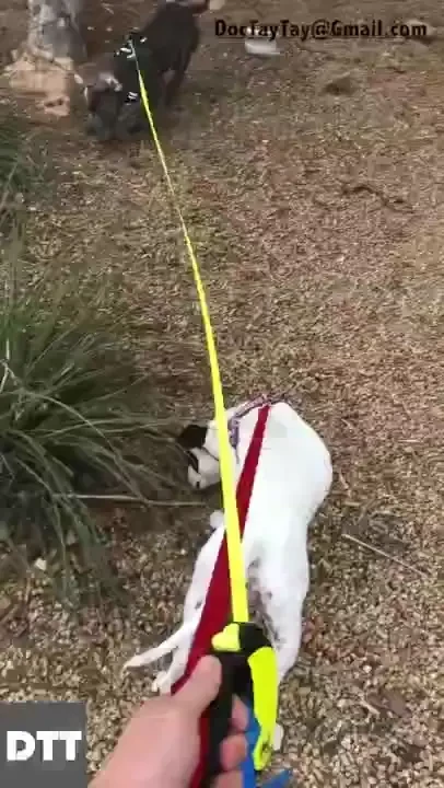 Good times this friday with these two nuts 