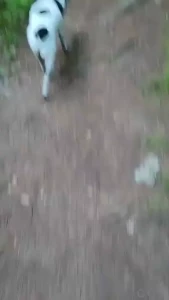 I know insects are essential but man would i love nature a lot more