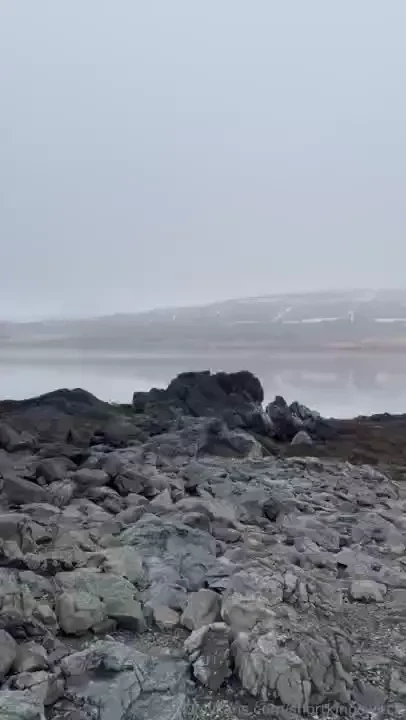 I can suck this lad outdoors all day long 